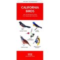 Waterford Press Waterford Press WFP1583551011 California Birds Book: An Introduction to Familiar Species (State Nature Guides) WFP1583551011